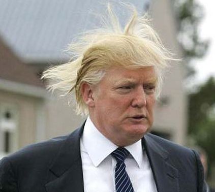 donald trump hair blowing in the wind. Donald+trump+hair+diagram